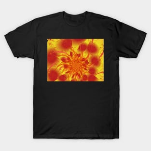 Sunburst T-Shirt